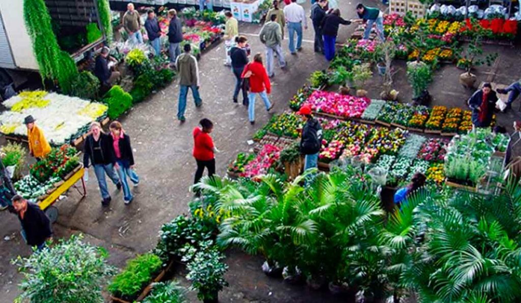 Ceagesp - Visão aérea do setor de floricultura