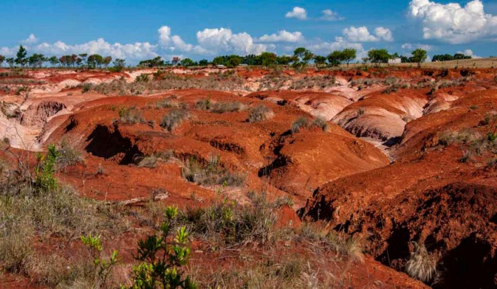 Erosão em solo agrícola