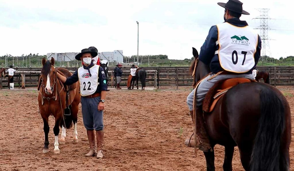 Ciclo do Freio de Ouro - cavalos com ginetes na pista de Esteio/RS