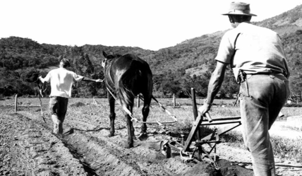 Produtor rural trabalhando a terra com arado de tração animal