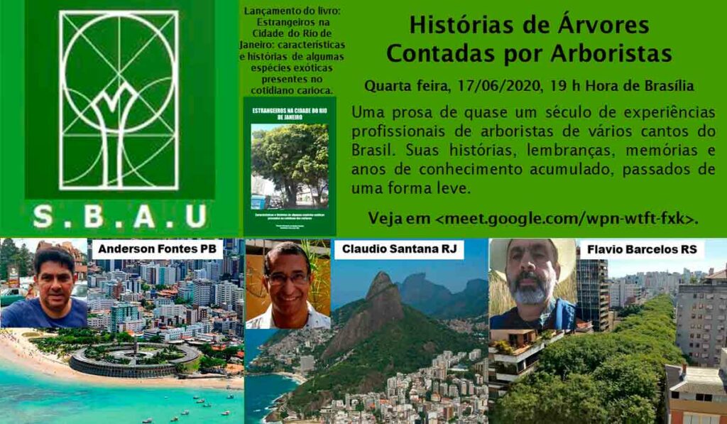 Chamada para vídeo-conferência "Histórias de árvores contados por arboristas"