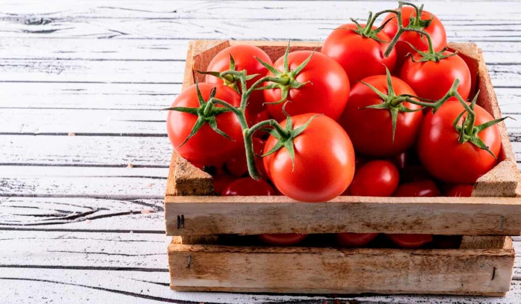 Caixa com tomates sobre a mesa