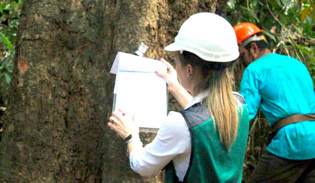 Engenheira Florestal em trabalho de inventário florestal na mata