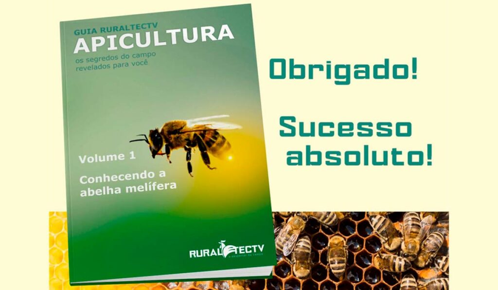 E.book RuraltecTV Apicultura Volume 1