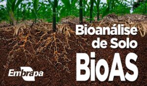 Bioanálise de solo BioAs Embrapa