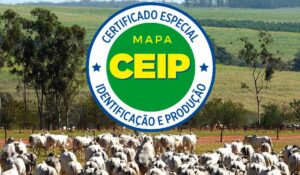 Selo CEIP - MAPA com boiada nelore certificada