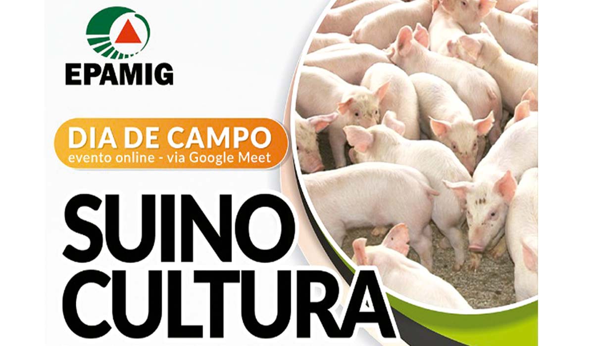 Banner promocional do Dia de Campo sobre suinocultura de EPAMIG