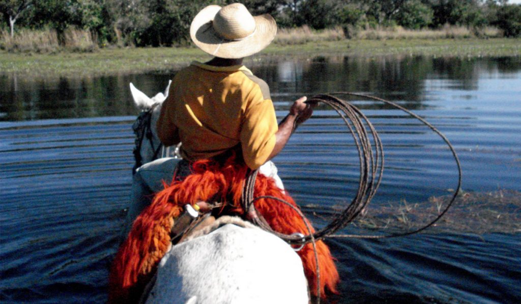 Homem pantaneiro no seu cavalo