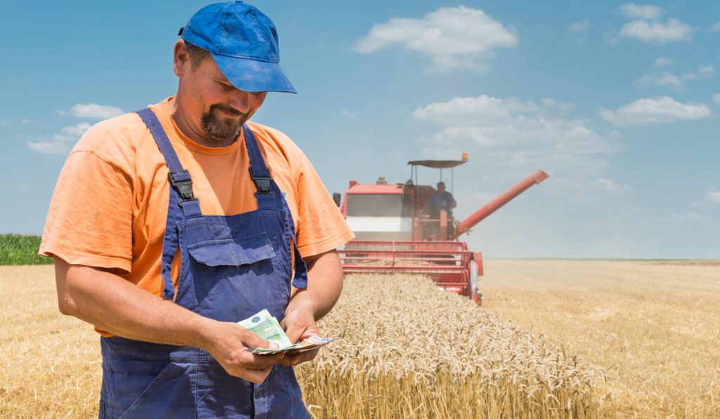 Produtor rural contando o dinheiro recebido do crédito rural