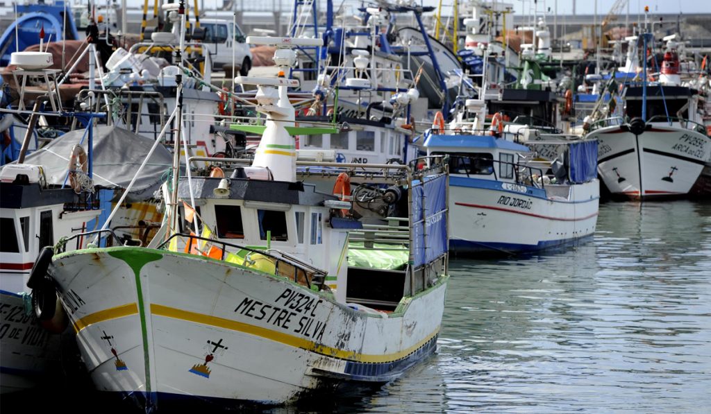 Barcos pesqueiros no cais