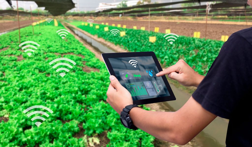Agricultor com tablet conectado em trabalho de campo