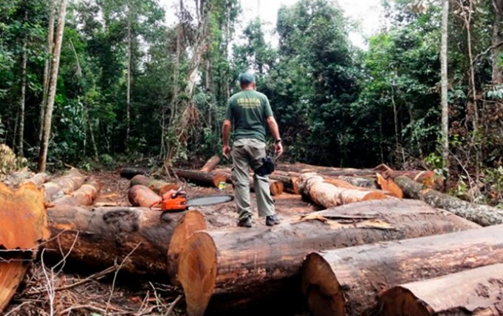 Desmatamento na Amazônia