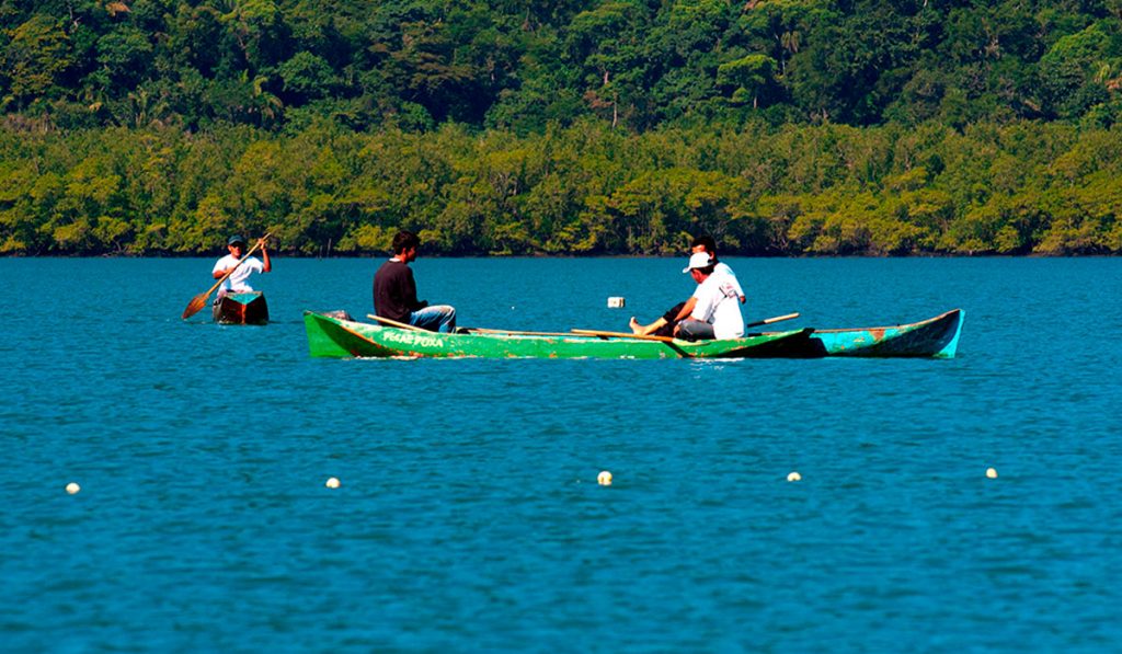 Pescadores pescando de canoa