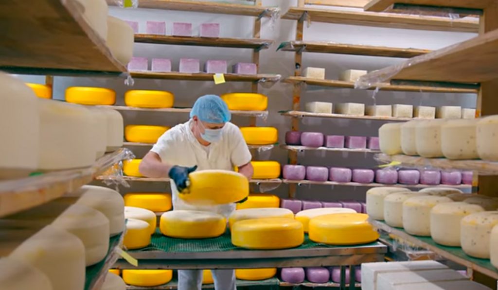 Agroindústria de queijos artesanais