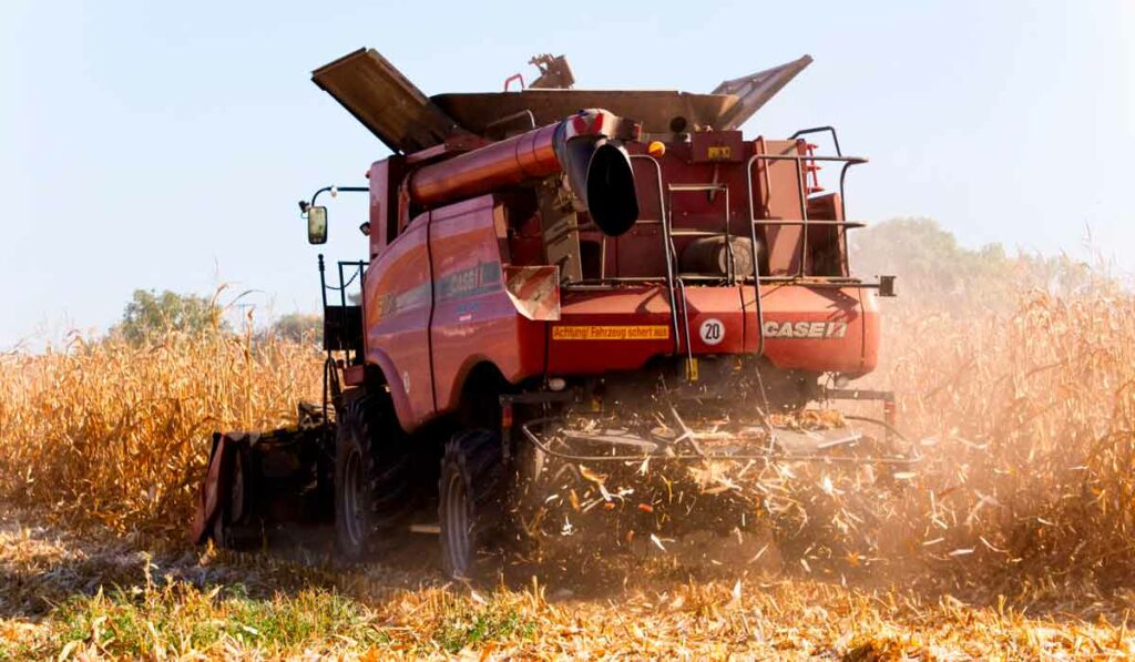 Colheitadeira em lavoura de milho - produção de resíduos agrícolas - palhada