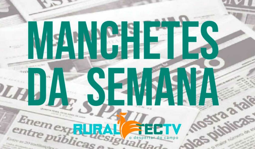 Manchetes da semana - 21 a 27-08-2021