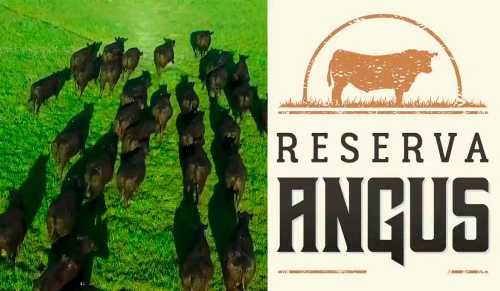 Chamada para o Reserva Angus 2021