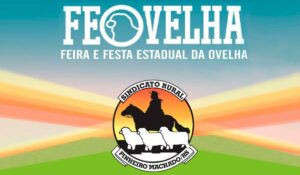 Logo da Feovelha