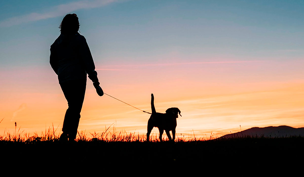 Passeando com seu cão