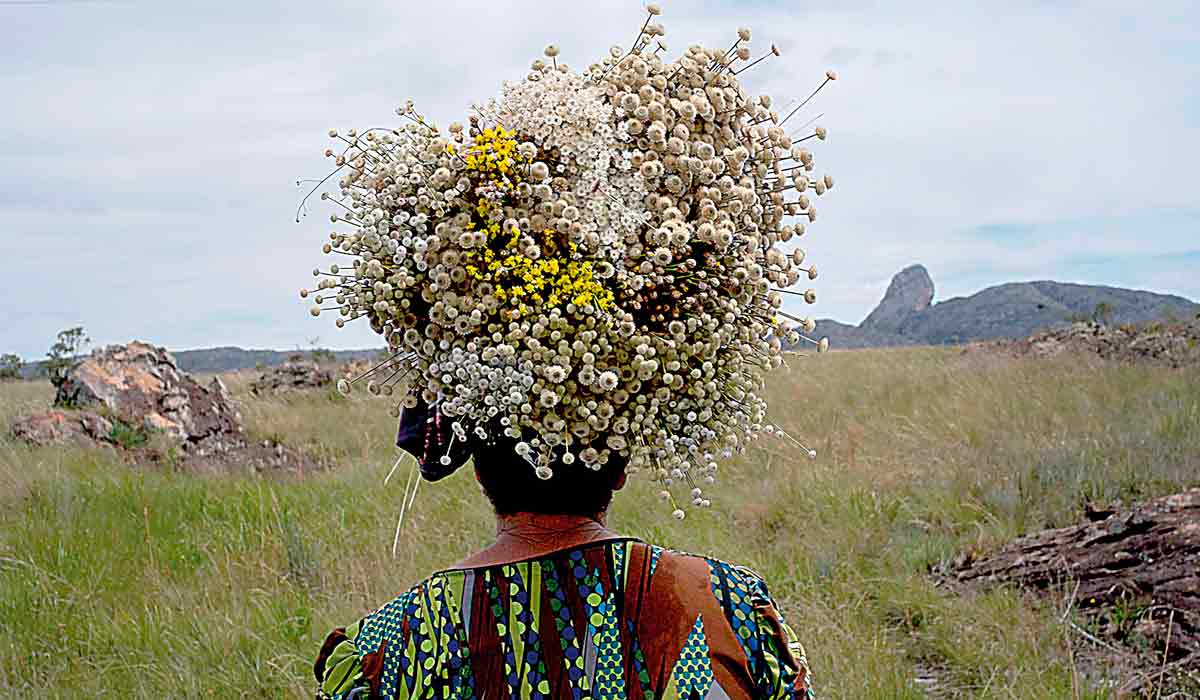 Os apanhadores de sempre vivas da Serra do Espinhaço aumentam a biodiversidade e preservam as tradições