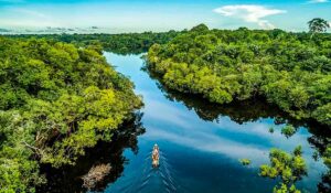 Floresta Amazônica