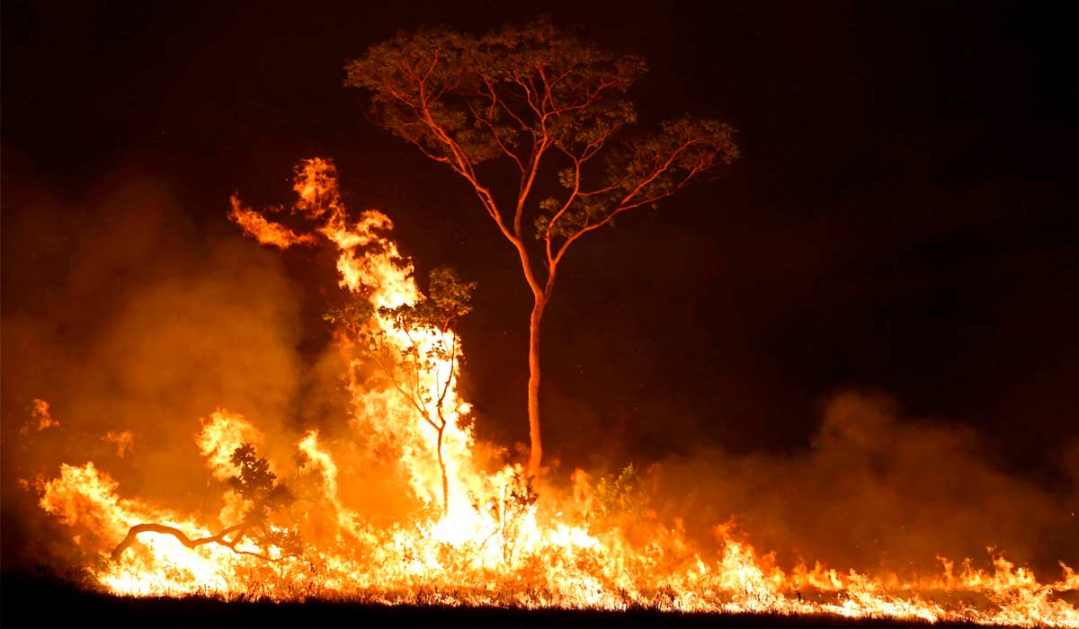 Queimada na floresta amazônica - Foto: Bruno Kelly/Reuters