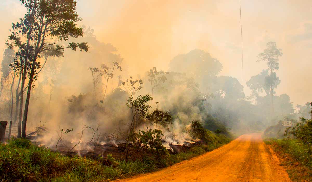 Poluição atmosférica provocada por queimadas