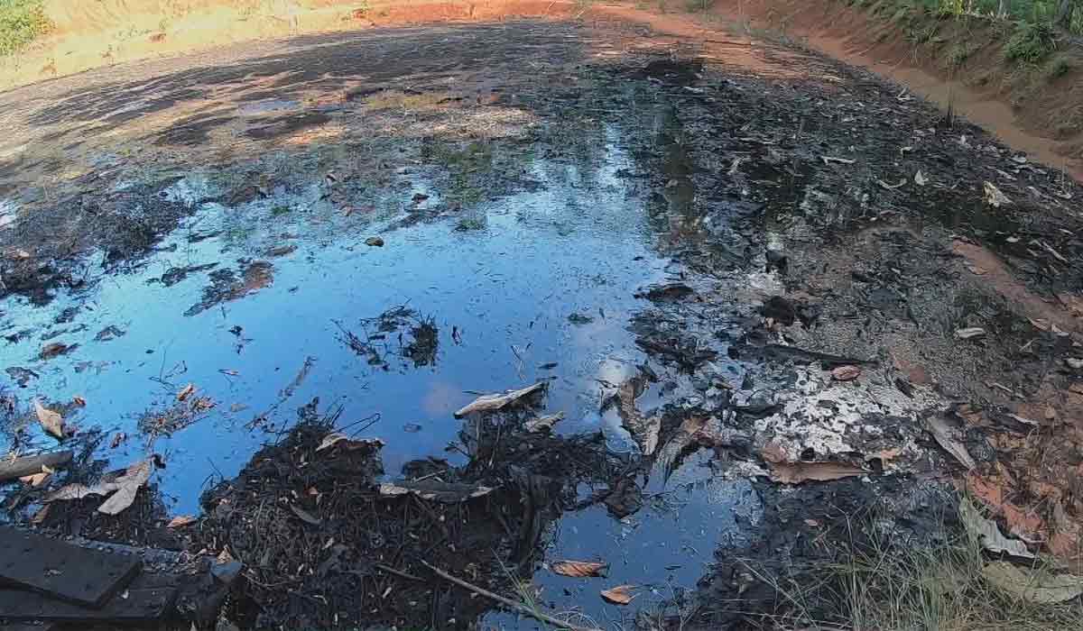 Solo poluído por petroquímicos