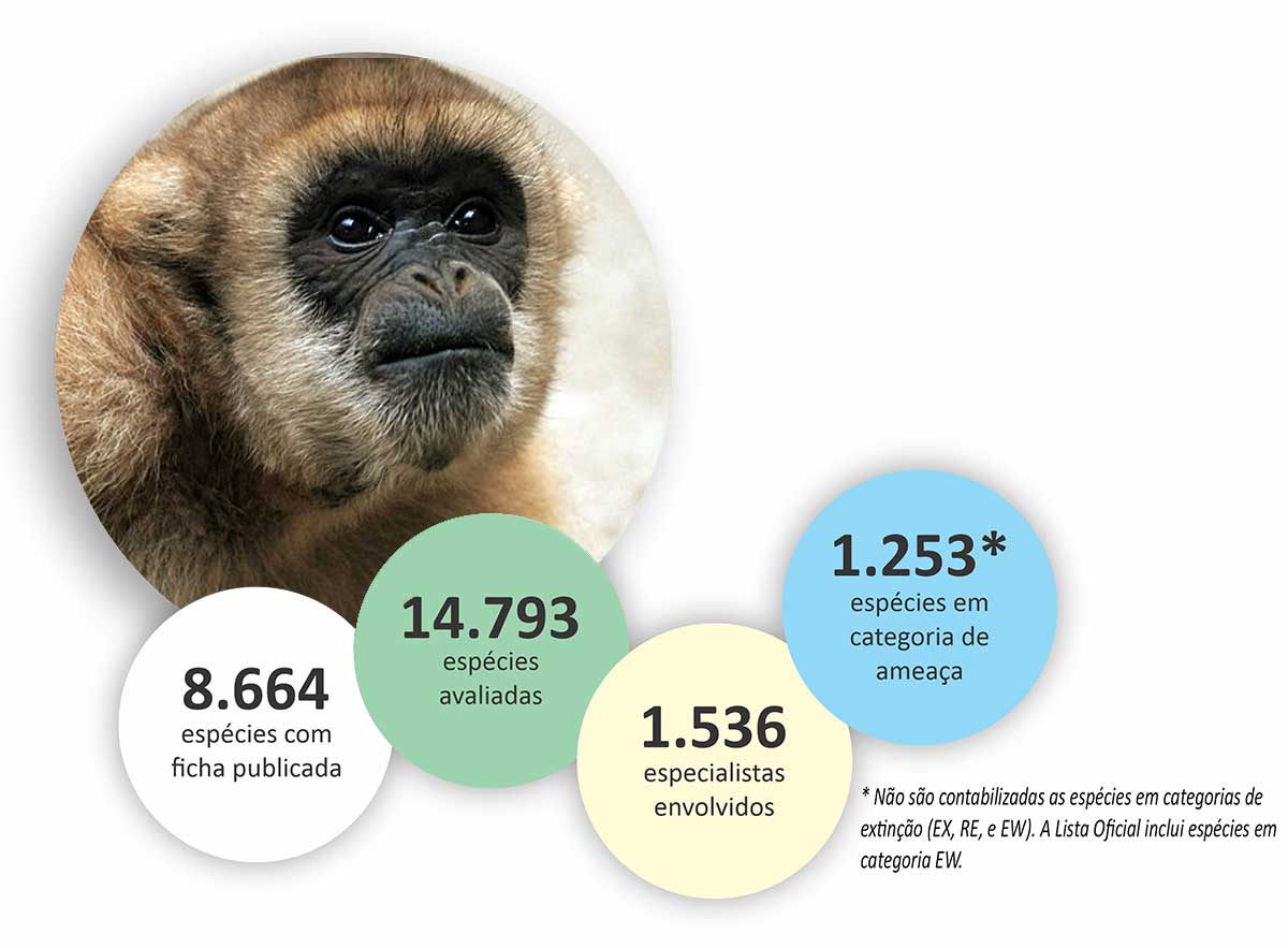 O Sistema de Avaliação do Risco de Extinção da Biodiversidade - SALVE foi desenvolvido com o objetivo de facilitar a gestão do processo de avaliação do risco de extinção coordenado e executado pelo ICMBio. O sistema possibilita também a organização das informações sobre a fauna avaliada.