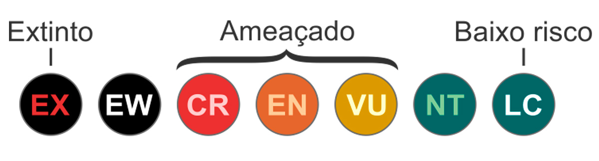 Categorias de classificação de risco