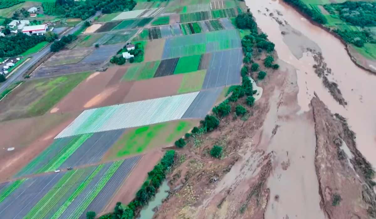 A plantação que o rio não levou embora foi destruída pelo excesso de água