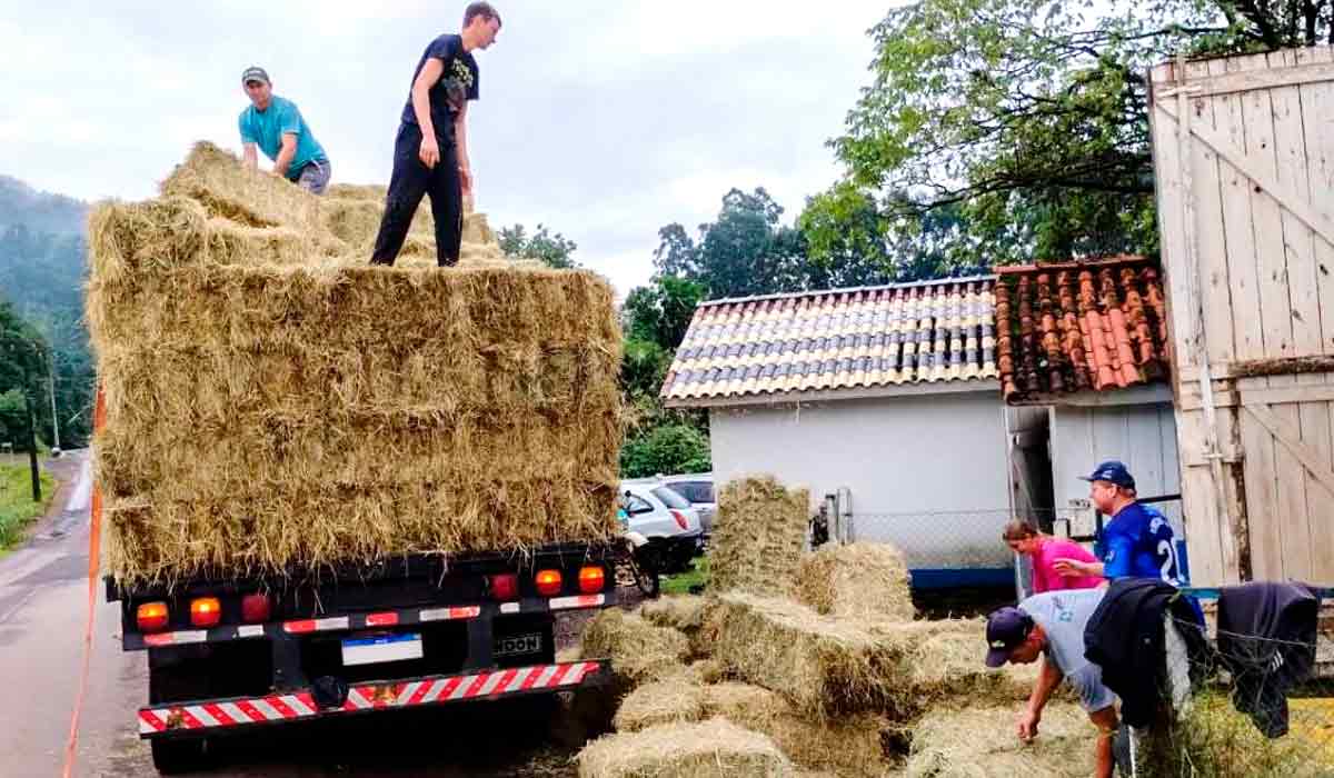 Sindicatos rurais de SC encaminharam dezenas de carretas com feno e pré-secado - Foto: Faesc