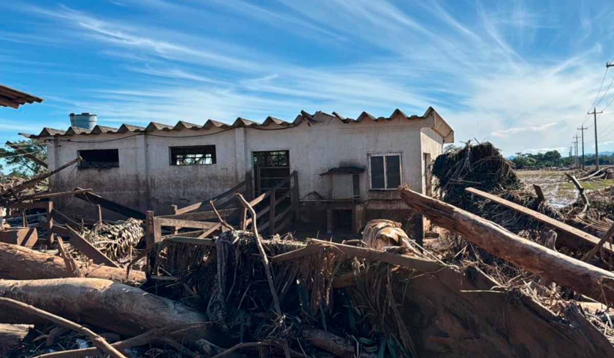 A reconstrução do setor leiteiro gaúcho após as enchentes passa pela necessidade de medidas governamentais que ajudem o produtor, que já vinha de uma situação difícil, a se reerguer e permanecer na atividade