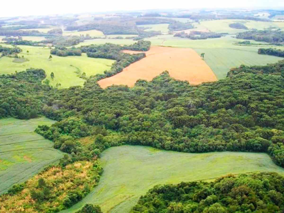 Relevo ondulado, na forma de colinas, característico da região de entorno da FLONA Passo Fundo/RS, cercada por áreas de lavouras, principalmente soja