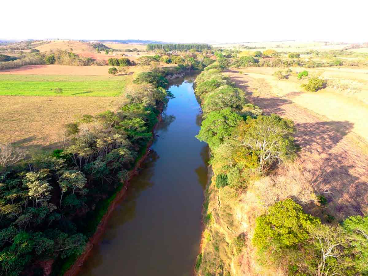 Matas ciliares (às margens do rio) insuficientes, com culturas agrícolas e pastagens dominando toda a área