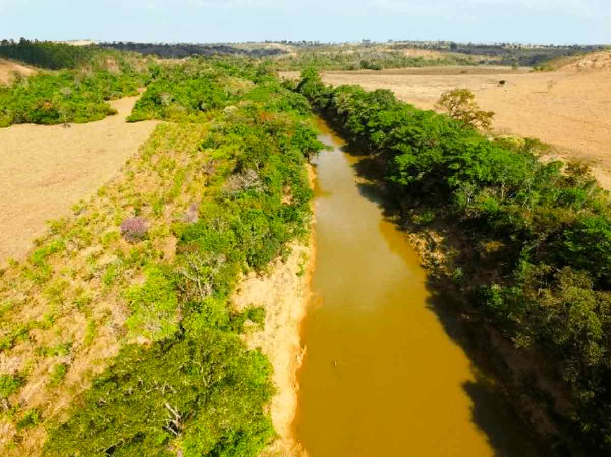 Faixa de mata ciliar sendo aumentada com reflorestamento e regeneração natural na margem esquerda