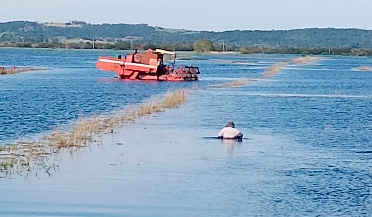 Plantação de arroz agroecológico e máquinas foram afetadas em Viamão