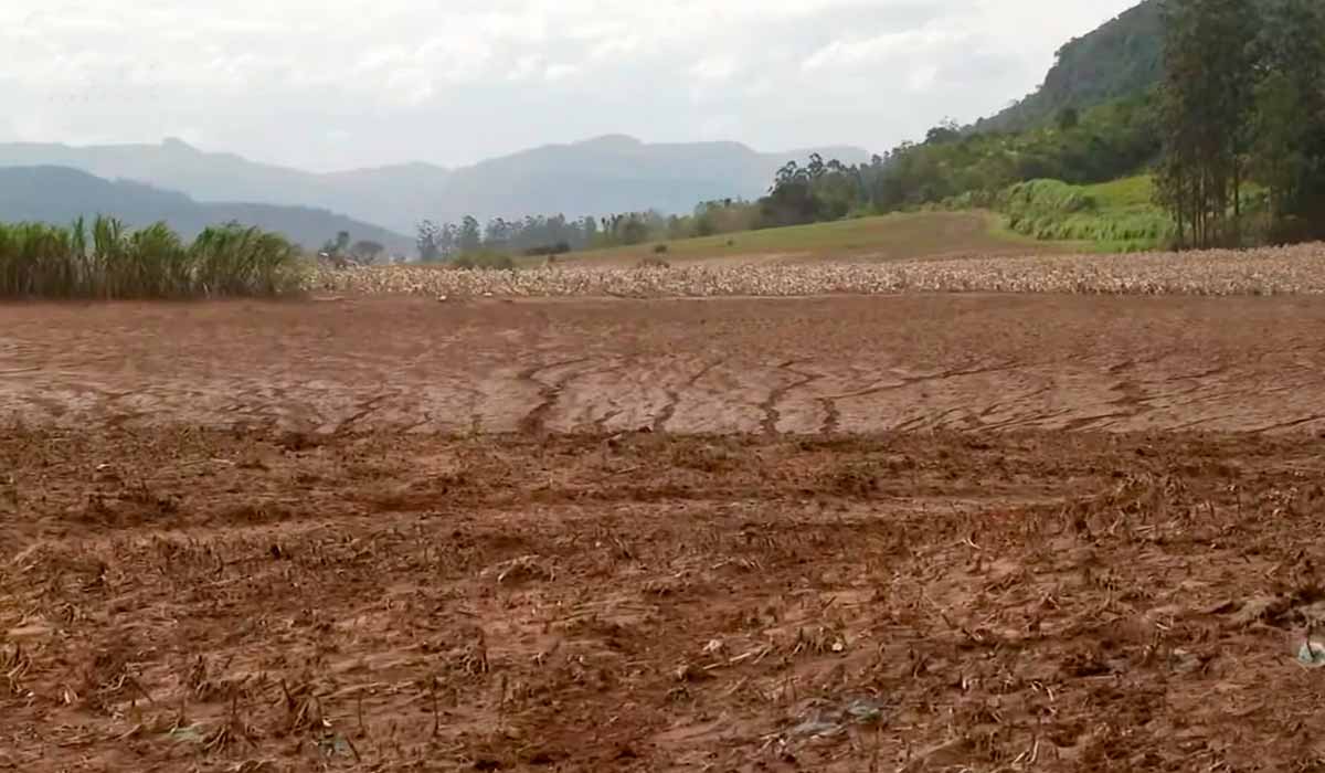 Lavouras totalmente destruídas em Roca Sales, RS