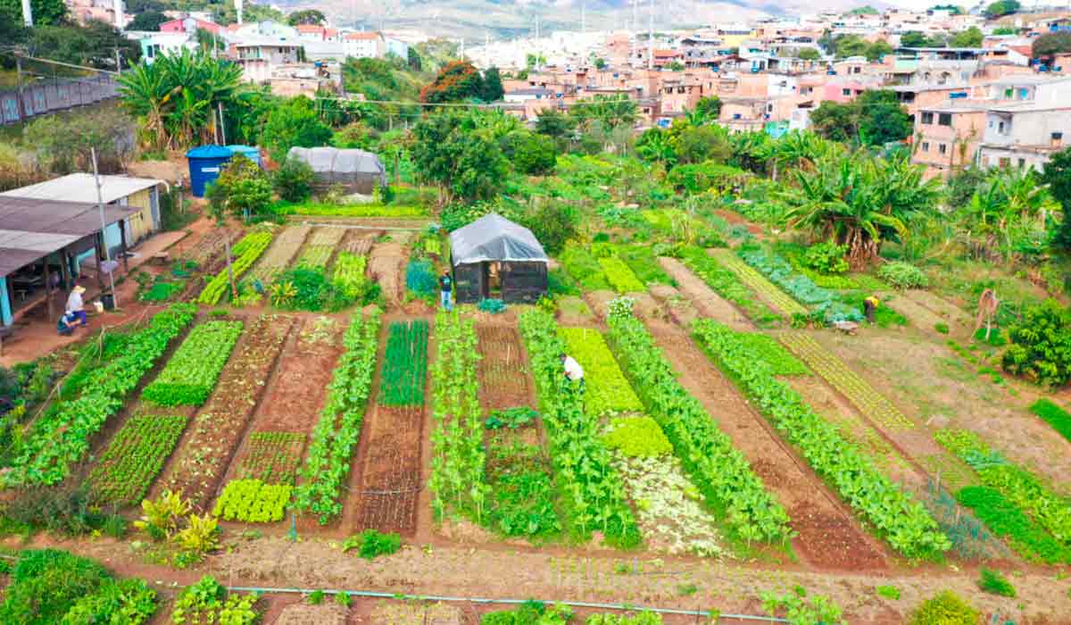 Propriedade rural familiar junto à área urbana