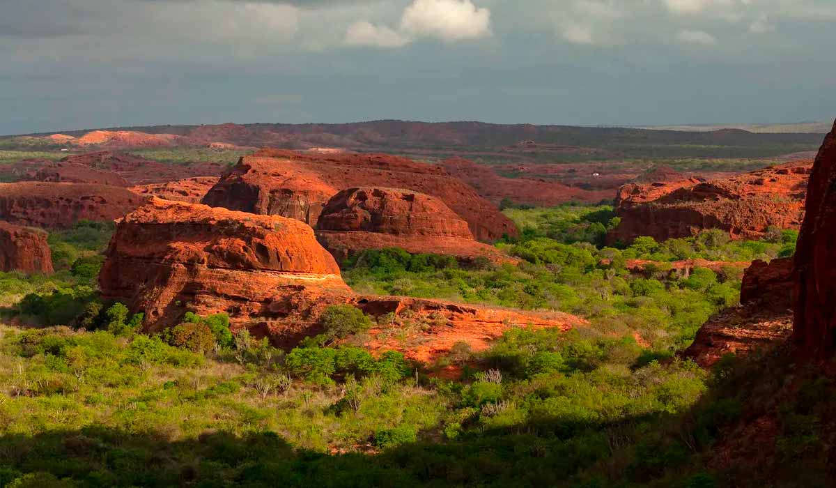 Os ninhos das araras-azuis-de-lear na natureza estão restritos a quatro principais localidades no nordeste da Bahia: a Estação Biológica de Canudos – retratada na imagem –, o Boqueirão da Onça, a Estação Ecológica do Raso da Catarina, Barreiras e a Baixa do Chico na Terra Indígena do Brejo do Burgo - Foto: João Marcos Rosa