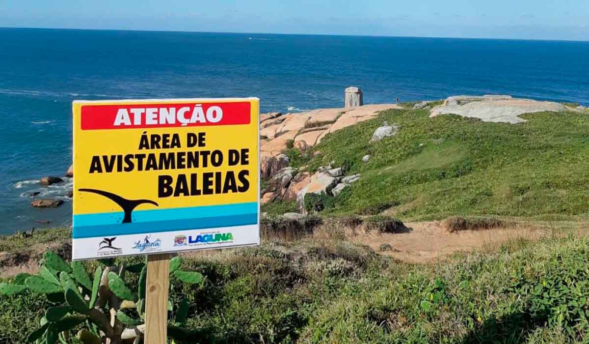 Área de avistamento de baleias sinalizada em Laguna, SC