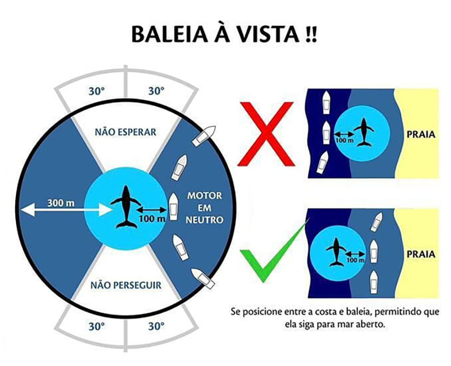 Posicionamento no avistamento de baleias