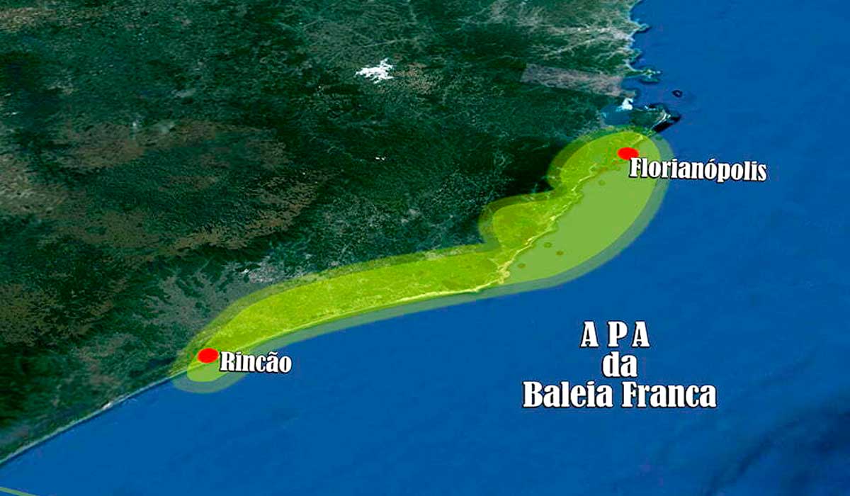 APA da Baleia Franca, SC