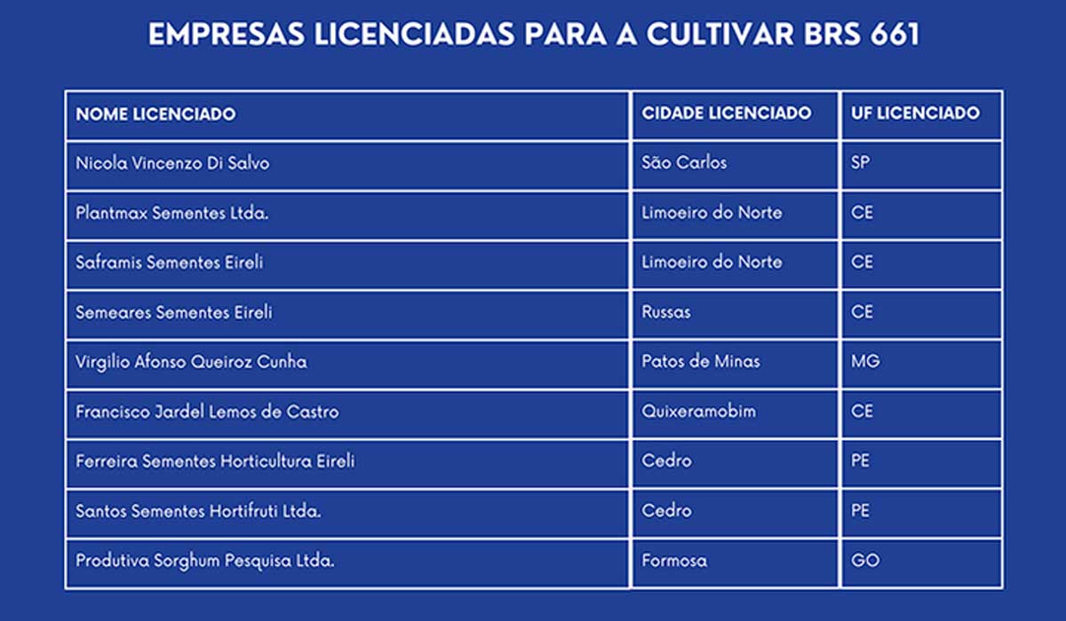 Empresas licenciadas para a cultivar BRS 661