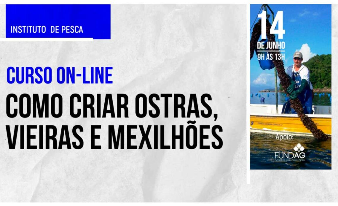 Chamada para o Curso sobre como criar ostras, vieiras e mexilhões