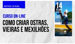 Chamada para o Curso sobre como criar ostras, vieiras e mexilhões