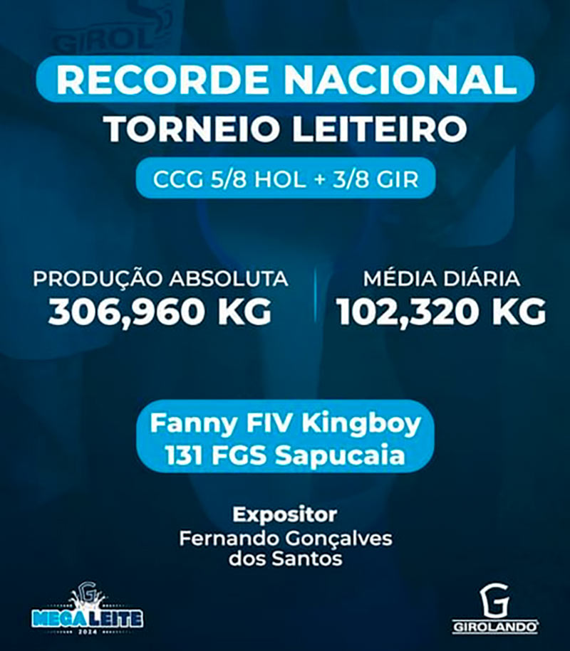 Consagração da vaca girolando Fanny FIV Kingboy 131 FGS Sapucaia