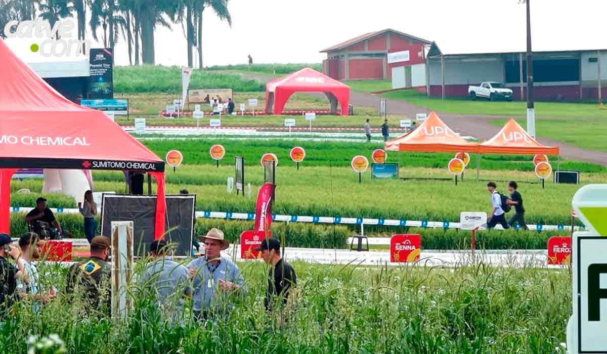 Estandes no Show Rural Coopavel de Inverno