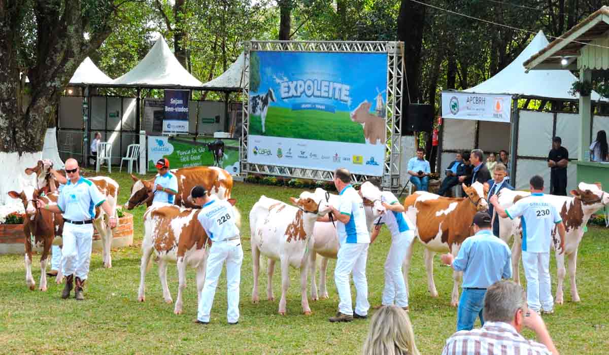 Animais na pista de julgamento