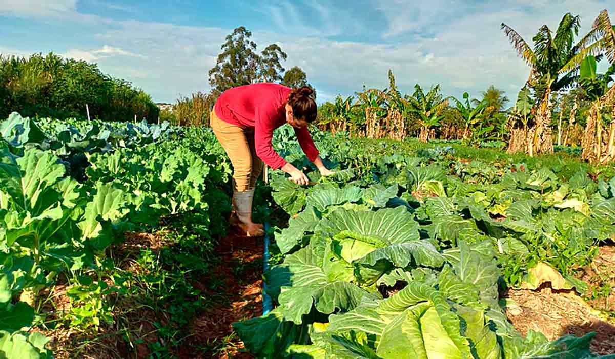 Produtora orgânica em sua lavoura